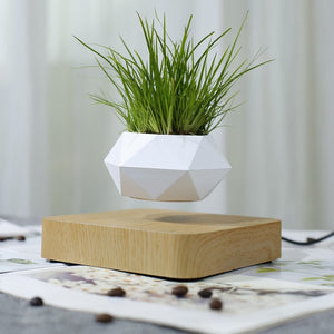 Levitating Flower Pot