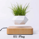 Levitating Flower Pot