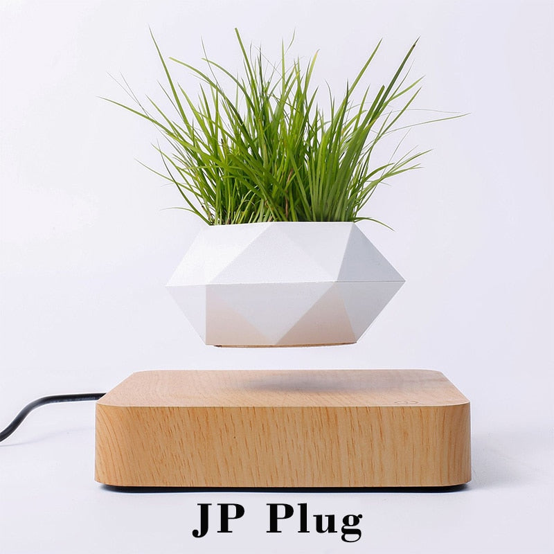 Levitating Flower Pot