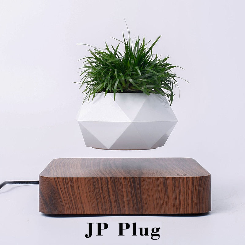 Levitating Flower Pot