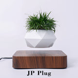 Levitating Flower Pot